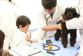 「2025動物感謝デー in JAPAN “World Veterinary Day”」-人と動物の健康と地球の未来を考えるイベント