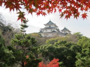 写真映え間違いなし秋の魅力が満載！紅葉と抹茶を楽しむ西之丸庭園と和歌山城の夜間照明イベント