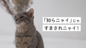 九都県市が「廃プラスチックの分別料」について啓発動画を制作