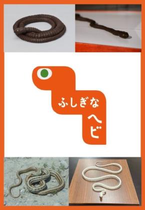 「ふしぎなヘビ」〈ぶんかつ〉が貸出用展示キットを新たに提供