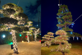ZAMA GOLFが提供する非日常 「ZAMA GOLF ナイトイルミネーション 2025」で冬の夜を楽しもう