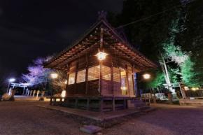 立志神社、年末年始に幻想的ライトアップと限定御朱印を提供