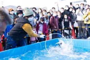 第32回伊東温泉めちゃくちゃ市の開催！地物産市がアツい！