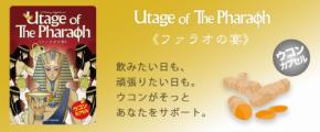 「ファラオの宴」新発売！年始疲れに効果的なウコンサプリメント