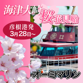 春爛漫!海津大崎で優雅な桜お花見クルーズが楽しめます