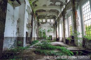 美の新鮮な視点から廃墟を再評価「変わる廃墟展 2026」開催