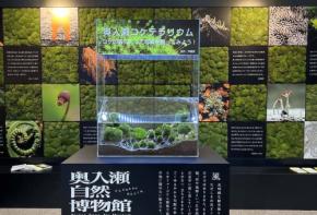奥入瀬の森が東京・御徒町に出現!3日間限定「奥入瀬移動博物館」開催