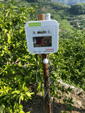 AIでかんきつ増収!愛媛県でのスマート農業モデル「e-kakashi」の試験成功