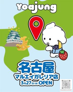 大人気韓国フローズンヨーグルト「Yoajung(ヨアジョン)」、東海エリア初出店へ