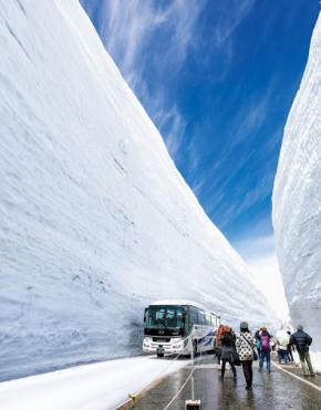 立山黒部アルペンルート、2026年4月15日(水)全線開通!「雪の大谷」は最高12mに
