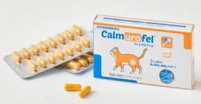 猫の膀胱の健康をサポートする栄養補助食品「カームウロフェル」が2026年6月1日に新発売