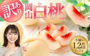倉敷市のふるさと納税返礼品に「訳あり岡山白桃」が登場!