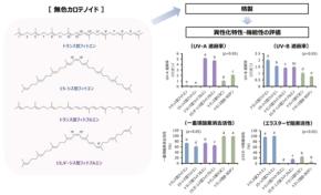 無色カロテノイド「フィトエン」「フィトフルエン」に高い紫外線遮蔽能と抗酸化作用、美容機能を発見