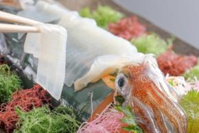 夕日ヶ浦温泉の2つの宿で「活け〆白イカ」姿造りを堪能する6月限定プラン販売開始