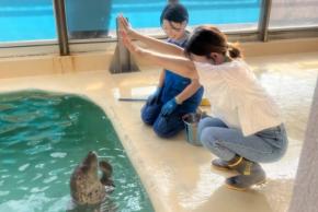 魚津水族館で七夕展開催!サンゴ礁の生き物と夢を叶えるイベントも