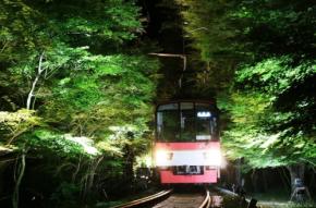 叡山電車で幻想的な夏夜を！「青もみじのライトアップ」と七夕企画開催
