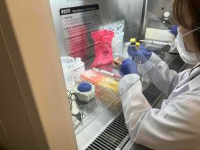 ハナミスイ、腟内フローラを分子生物学的手法で正確に評価する研究体制を構築
