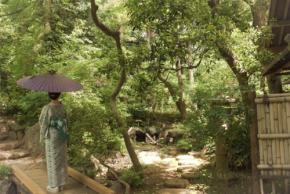 都立庭園で夏の風物詩、和傘無料貸出を実施