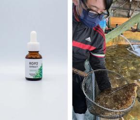 ONSOH、別府温泉由来の微細藻類「RG92」を活用した飼料事業の資金調達を開始