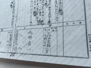家系図作成のトラディション・ブルー、「ルーツと翼」キャンペーンを100名増枠で延長実施