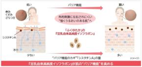 ノエビアグループ、九州産大豆「ふくゆたか」由来イソフラボンが肌バリア機能強化に貢献する新知見を発表
