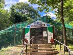 比叡山ドライブウェイで夏の風物詩「かぶと虫の家」が今年もオープン