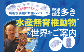 深海の不思議な生き物たちに迫る！鳥羽水族館学芸員が綴る飼育日記、新刊発売
