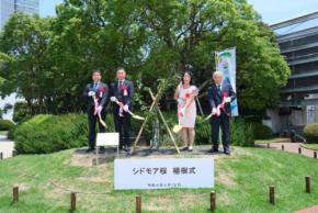 相鉄グループ、横浜市全18区シドモア桜植樹プロジェクトの一環としてシドモア桜を植樹