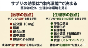 サプリの効果を最大化する「体内環境」の重要性:呼吸・歩行・睡眠との関係