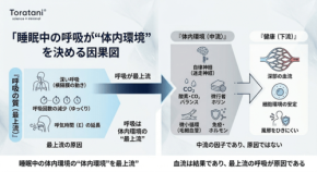 呼吸の質が健康の根幹、トラタニ株式会社が体内環境改善への応用を発表