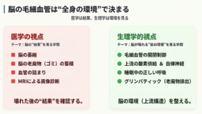 毛細血管の機能低下が脳の健康に与える影響とそのメカニズム