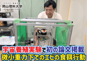 岡山理科大学、宇宙養殖プロジェクトで稚エビの摂食実験に成功