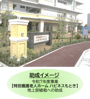 東京都都市緑化基金、令和8年度より助成事業をリニューアルし募集開始