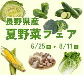 和牛焼肉「信州そだち」で長野県産夏野菜フェア開催、レタス食べ放題も
