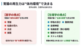 睡眠中の呼吸が胃腸の再生力を左右するトラタニ株式会社の研究