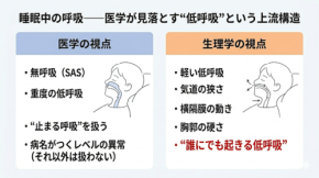 認知症リスクに潜む夜間の低呼吸とは？医学が見落とす脳への影響