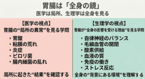 胃腸の不調は全身のサイン?生理学から考える体内環境の改善法