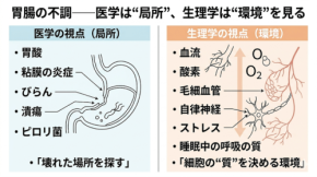 胃腸の不調が繰り返す理由とは？体内環境と細胞再生の仕組みを解説