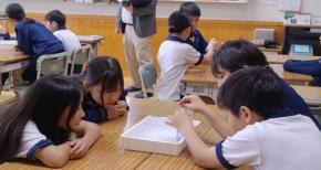 近畿大学附属小学校が4年生を対象に月経について学ぶ体験型特別授業を実施