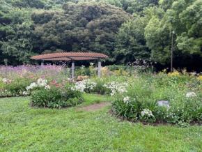 第61回東京都公園協会賞の入賞作品12点が決定