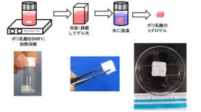 ポリ乳酸からヒドロゲルを簡便に作製する新技術を工学院大学が開発