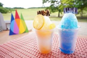 ニジゲンノモリの進撃の巨人コラボに硬質化をテーマにした夏季限定かき氷が登場
