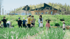 淡路島で親子が暮らすように自然を学ぶ宿泊プログラム開催