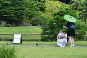 六義園で江戸の文化に触れる夏イベント開催
