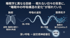 睡眠中の呼吸構造の変化が眠りの質に与える影響と可視化された新事実