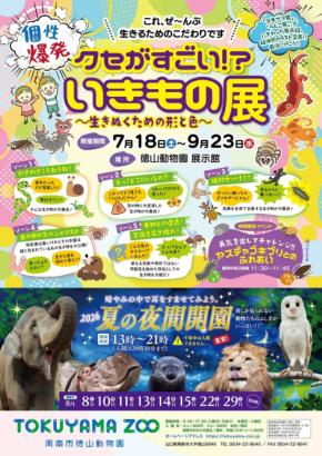 徳山動物園で夏の企画展「クセがすごい！？いきもの展」開催