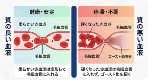 睡眠時無呼吸症候群と不眠症の関連性、血液の質の低下が原因と判明