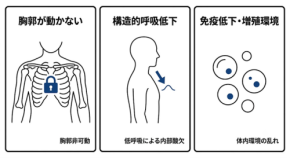 睡眠中の胸郭の動きとがん増殖環境の関係性に関する考察