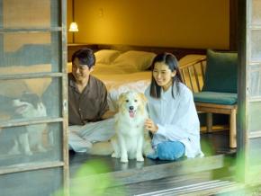 愛犬と泊まれる古民家リトリート赤城山 - 懐 - が夏の会席と記念日プランの販売を開始