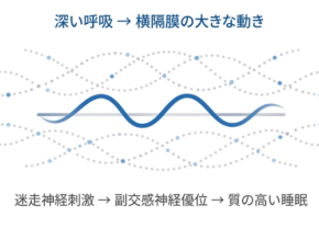 トラタニが提唱する新しい安眠の定義:睡眠中の呼吸構造に着目した体内環境の最適化